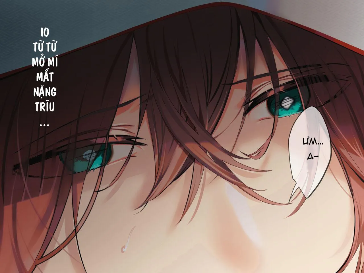 Minh Hôn -Niềm Vui Vô Tận Ở Địa Ngục Chapter 4 Trang 7