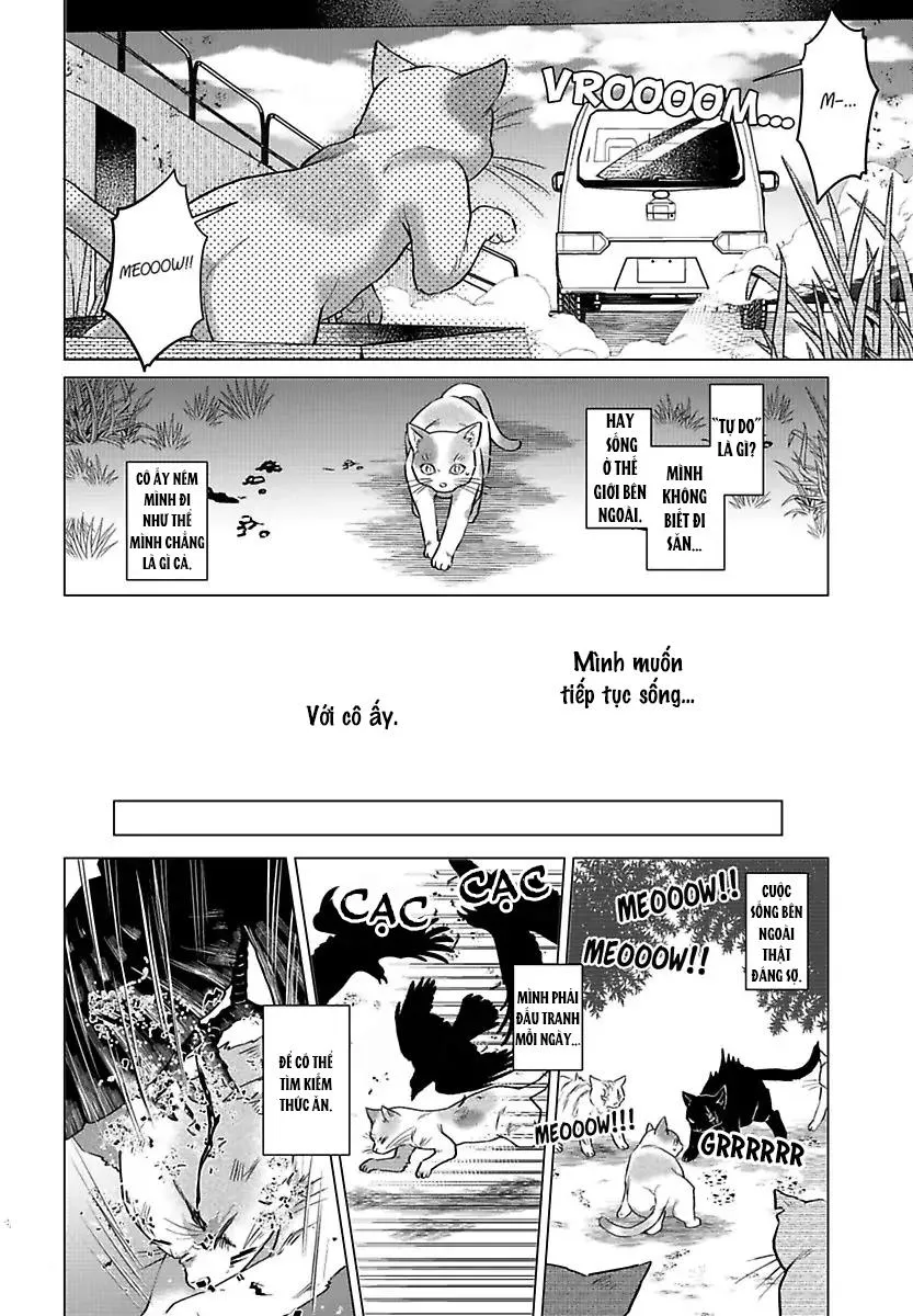 Mofumofu Bakashiai Nikki Chapter 3 Trang 9