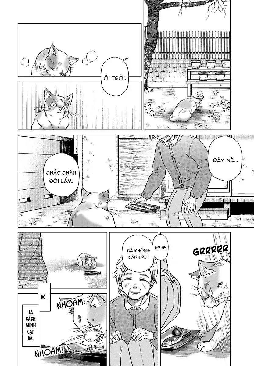 Mofumofu Bakashiai Nikki Chapter 3 Trang 11
