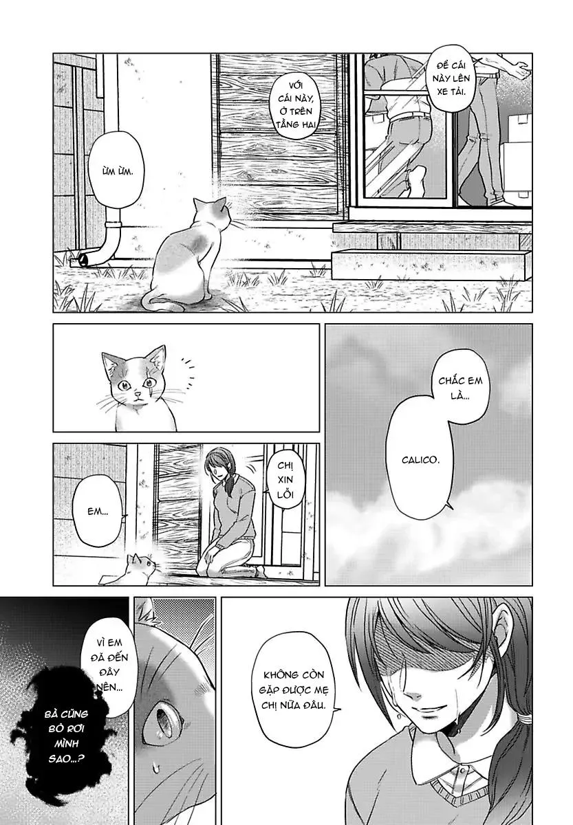 Mofumofu Bakashiai Nikki Chapter 3 Trang 14