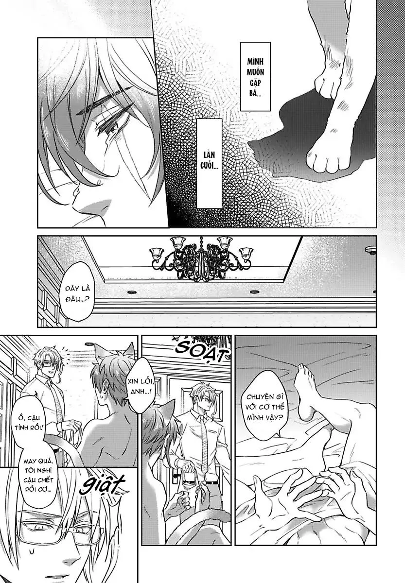 Mofumofu Bakashiai Nikki Chapter 3 Trang 16