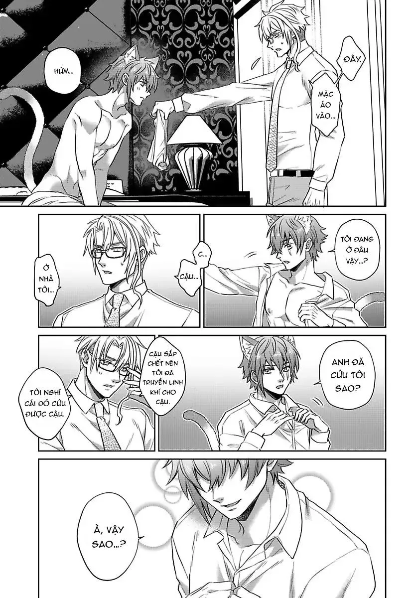 Mofumofu Bakashiai Nikki Chapter 3 Trang 18