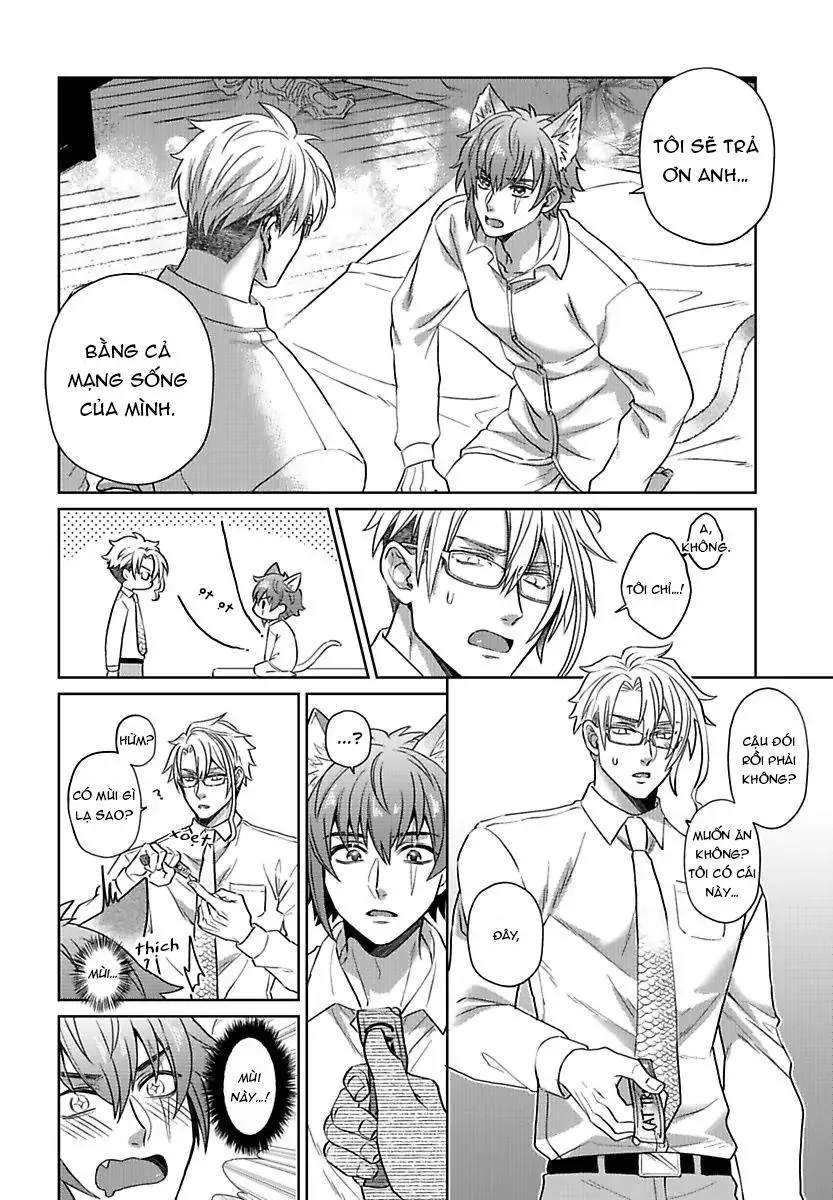 Mofumofu Bakashiai Nikki Chapter 3 Trang 19