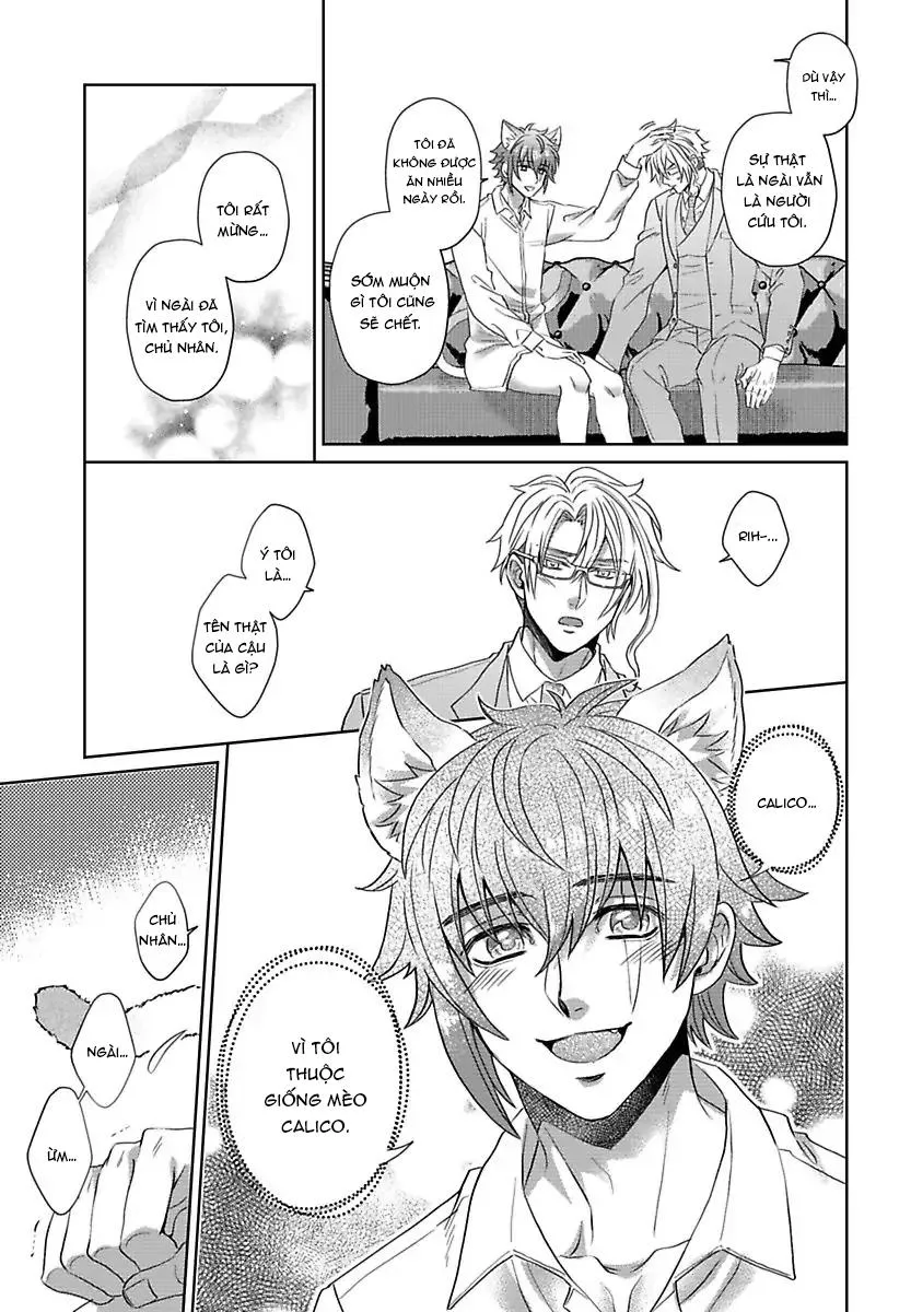 Mofumofu Bakashiai Nikki Chapter 4 Trang 12