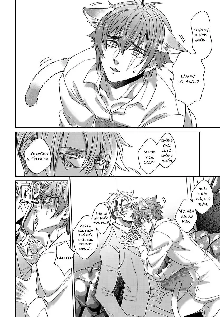 Mofumofu Bakashiai Nikki Chapter 4 Trang 13