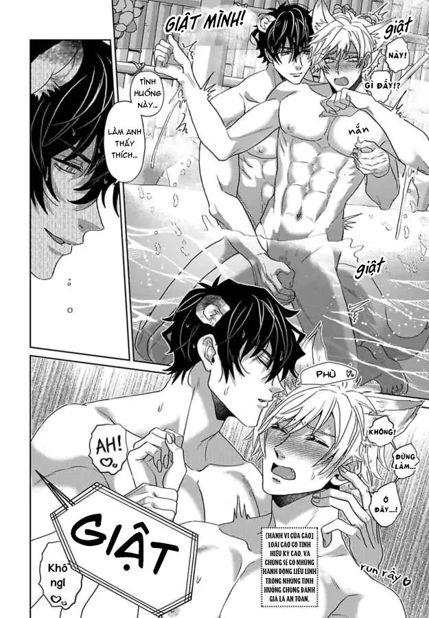 Mofumofu Bakashiai Nikki Chapter 5 Trang 7