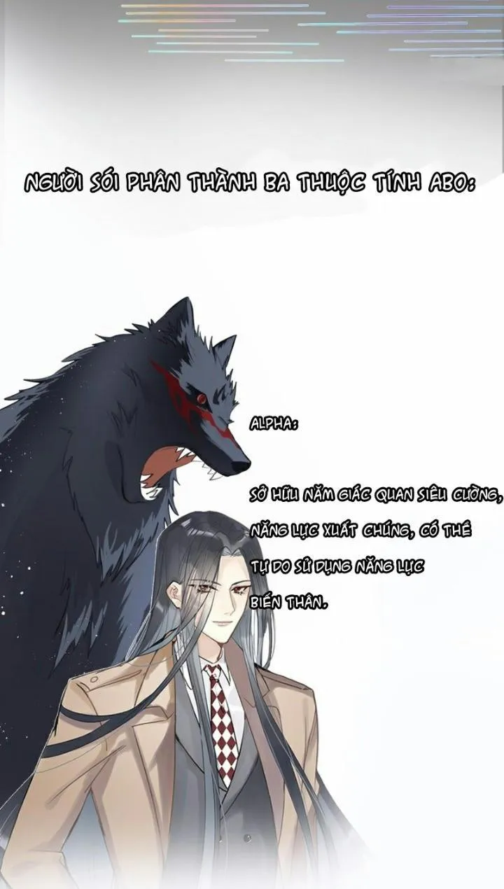 Mối liên kết bí mật Chapter 2 Trang 3