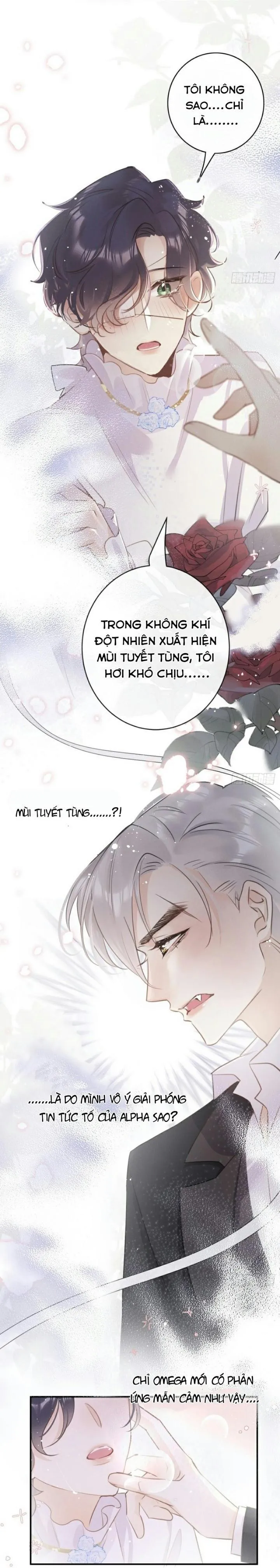 Mối liên kết bí mật Chapter 8 Trang 23