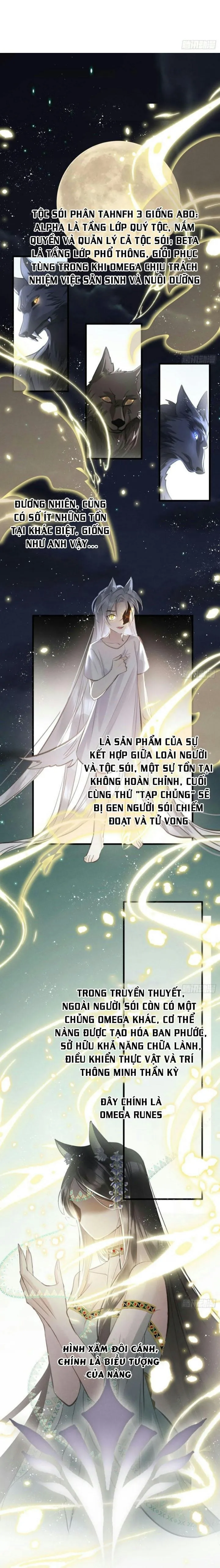 Mối liên kết bí mật Chapter 17 Trang 19