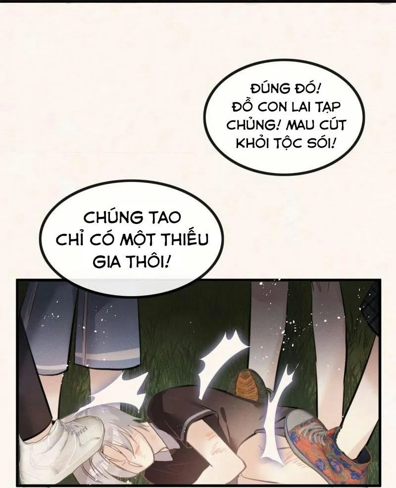 Mối liên kết bí mật Chapter 19 Trang 31