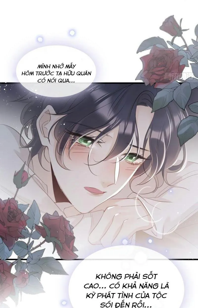 Mối liên kết bí mật Chapter 29 Trang 6