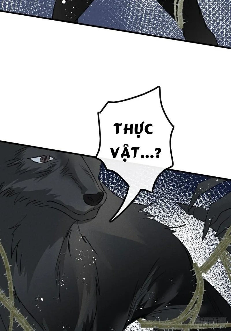 Mối liên kết bí mật Chapter 30 Trang 37