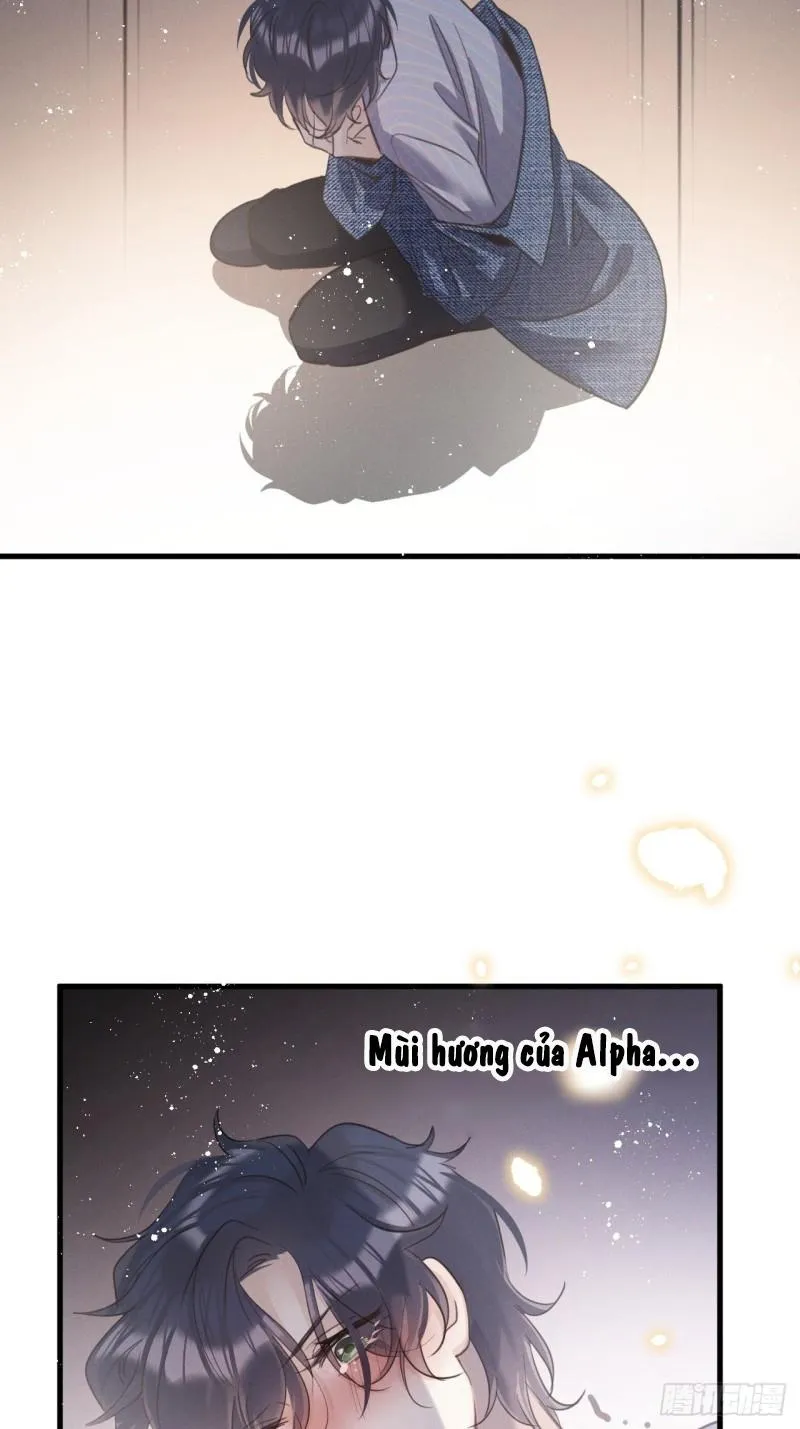 Mối liên kết bí mật Chapter 31 Trang 14