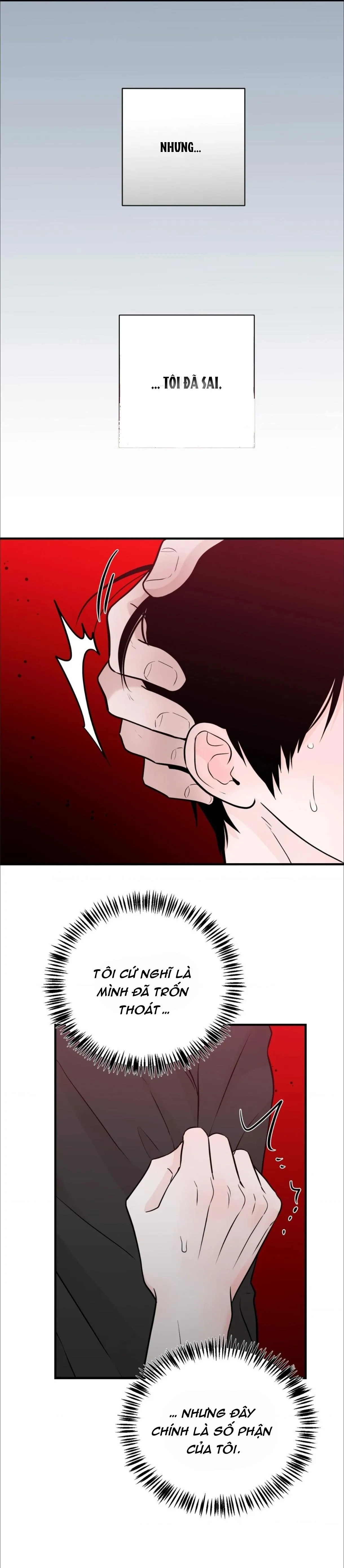 Mối Liên Kết Đáng Ngờ Chapter 4 Trang 11