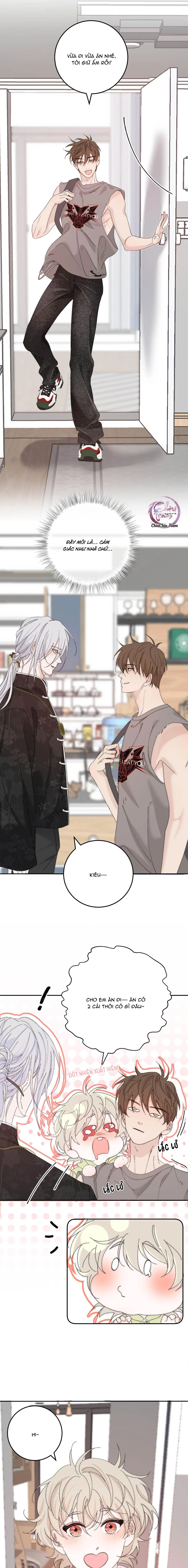 Mỗi Ngày Đều Muốn Làm Hoàng Tử Ốm Yếu Đội Quần Chapter 12 Trang 4