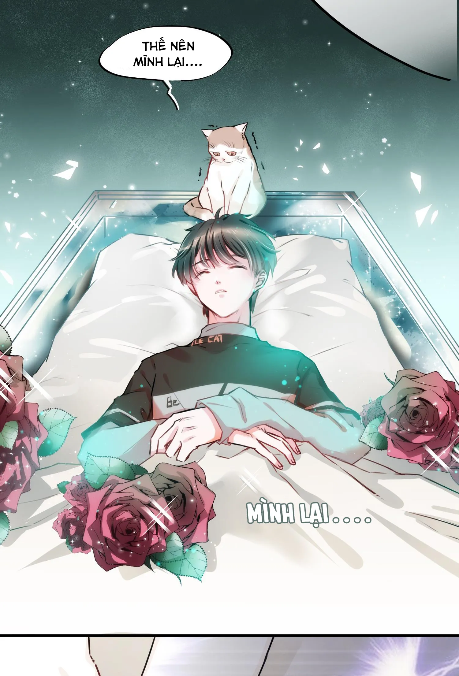 Mối quan hệ không được thuần hóa Chapter 2 Trang 11