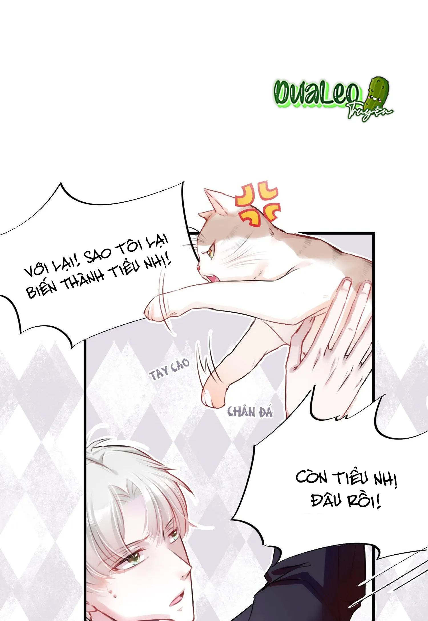 Mối quan hệ không được thuần hóa Chapter 2 Trang 14