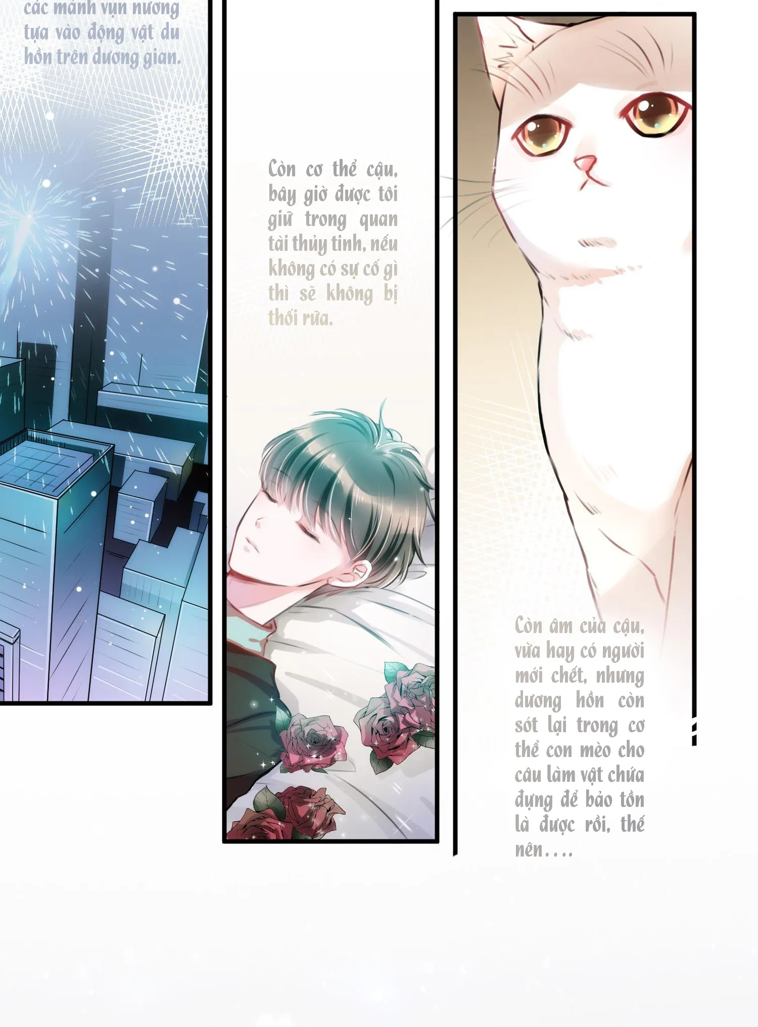 Mối quan hệ không được thuần hóa Chapter 2 Trang 25