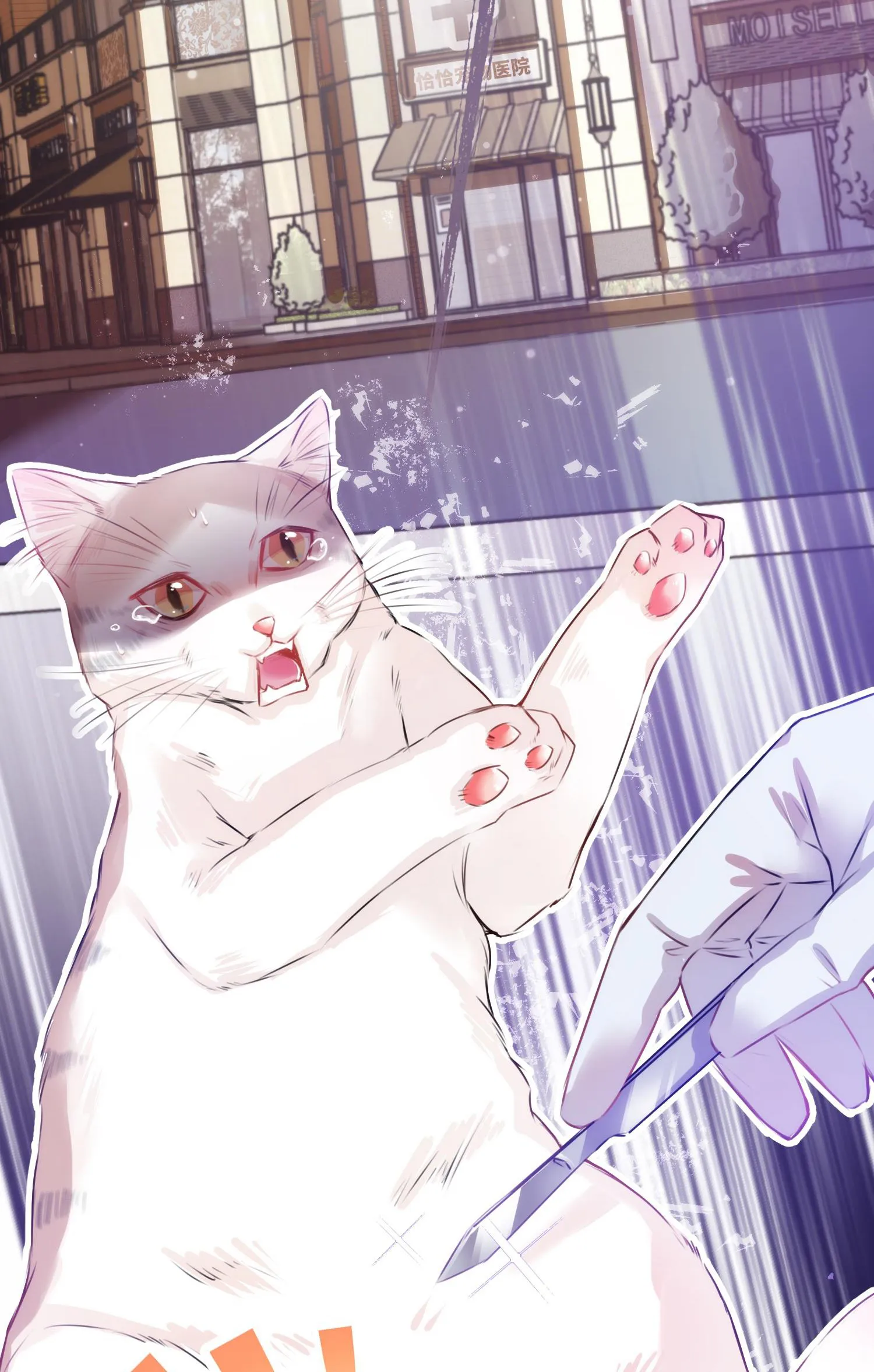 Mối quan hệ không được thuần hóa Chapter 3 Trang 45