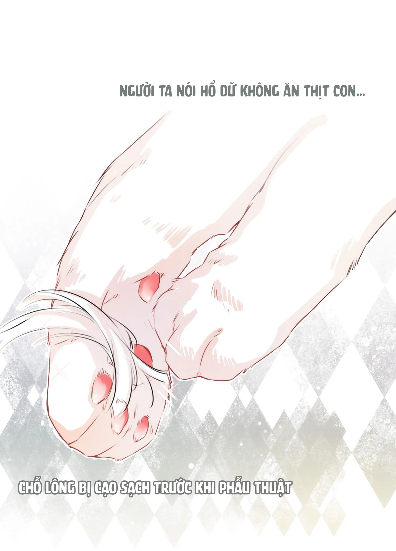 Mối quan hệ không được thuần hóa Chapter 4 Trang 3