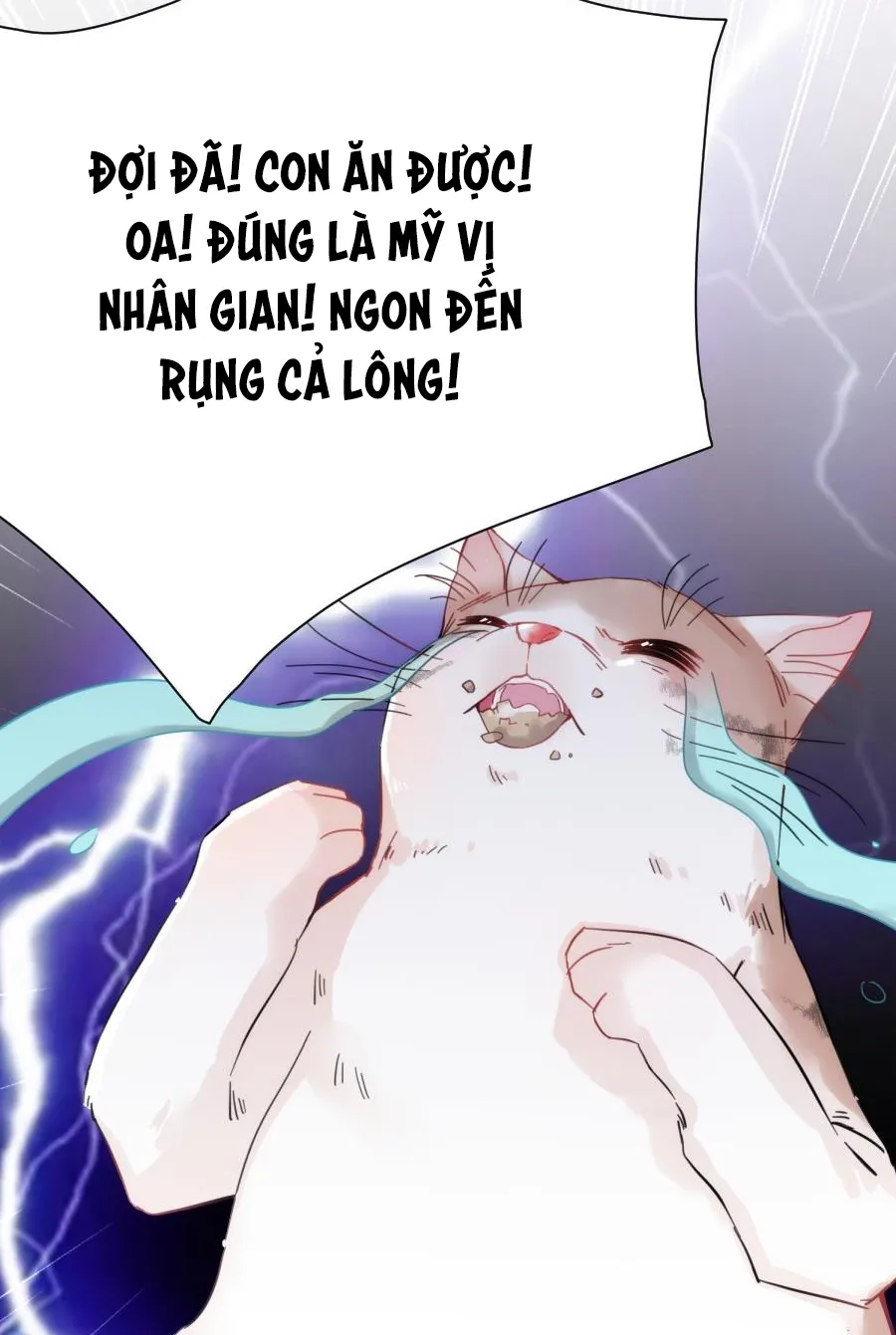 Mối quan hệ không được thuần hóa Chapter 5 Trang 56