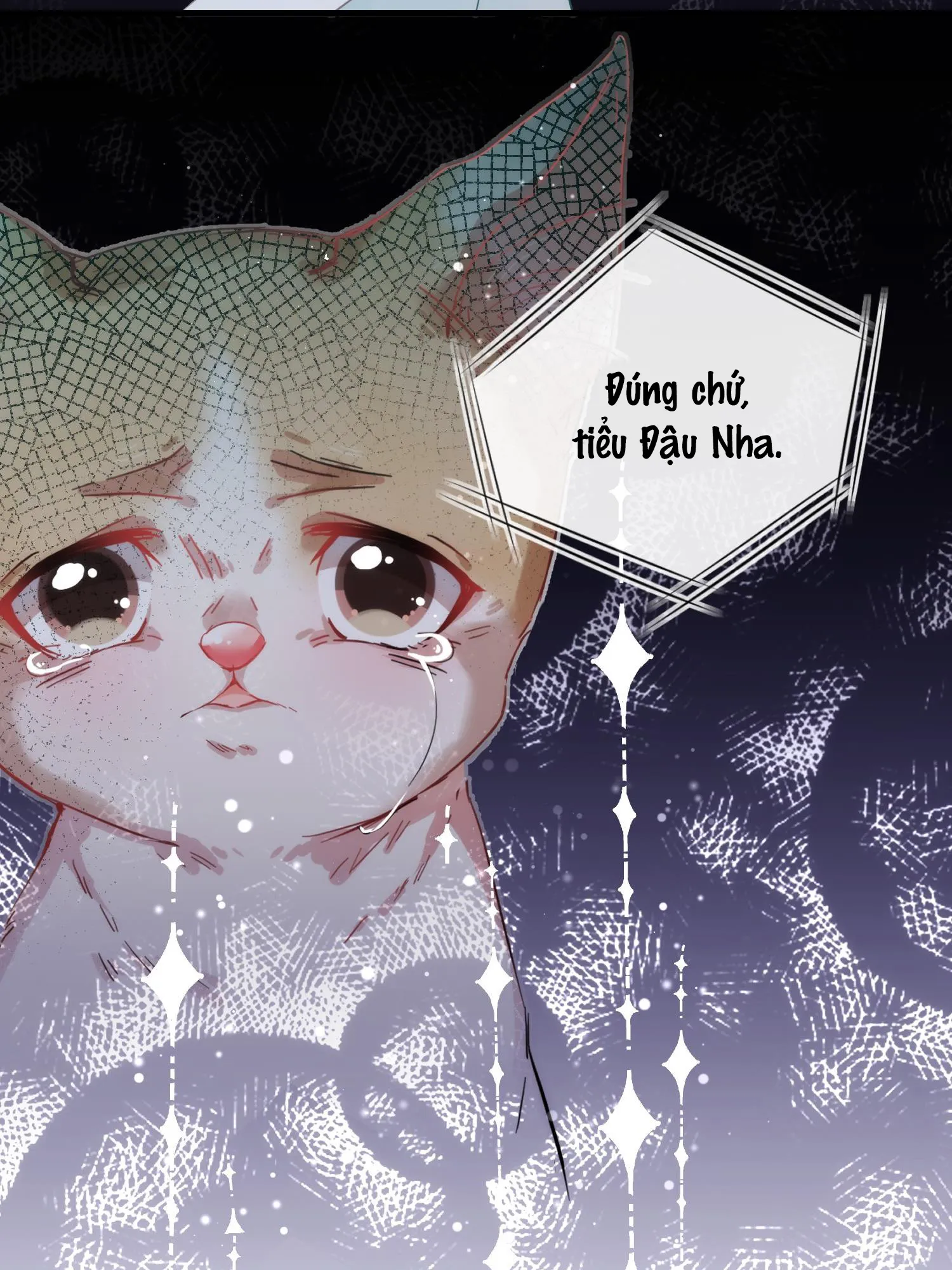 Mối quan hệ không được thuần hóa Chapter 6 Trang 21