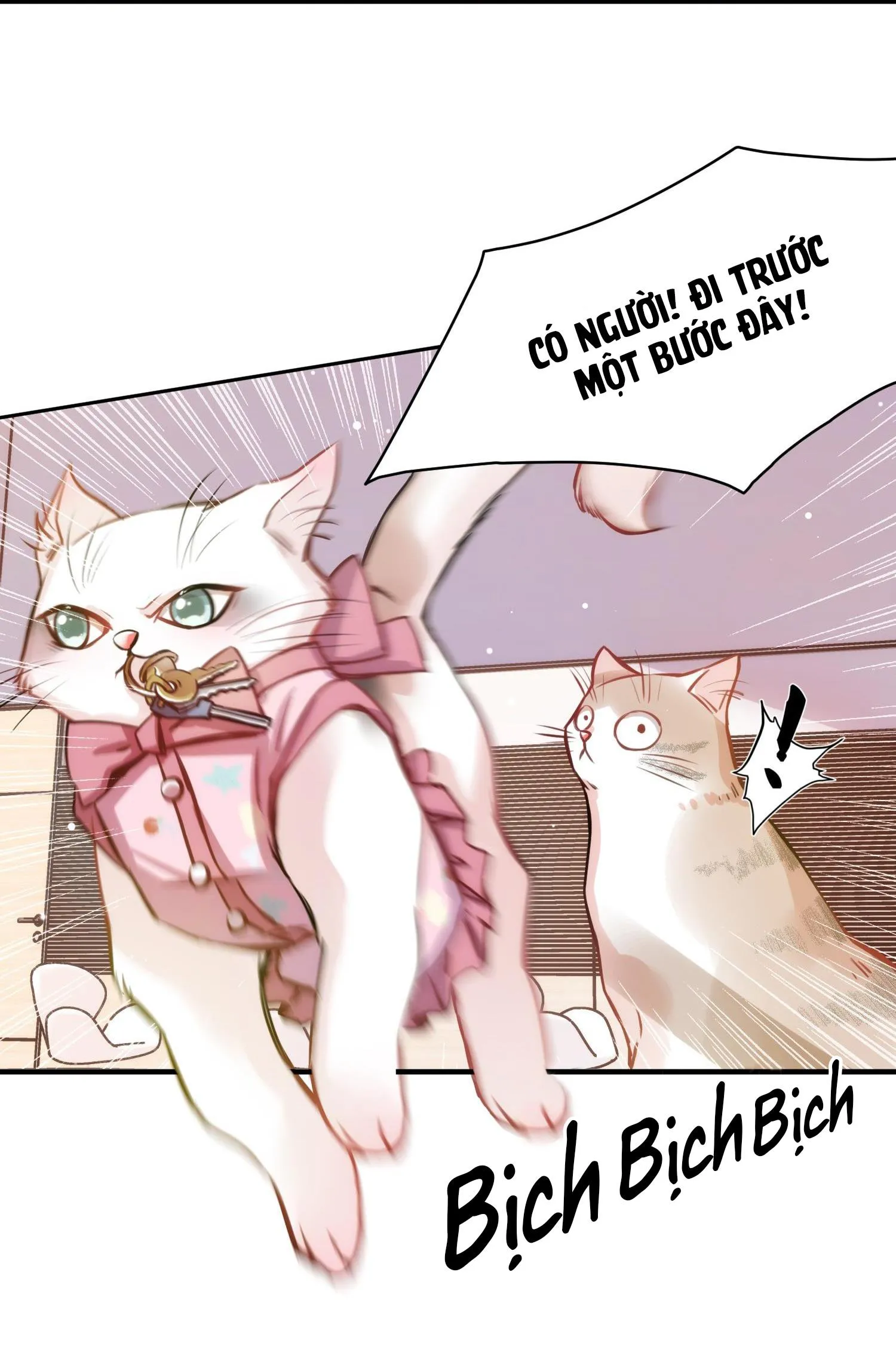 Mối quan hệ không được thuần hóa Chapter 10 Trang 11