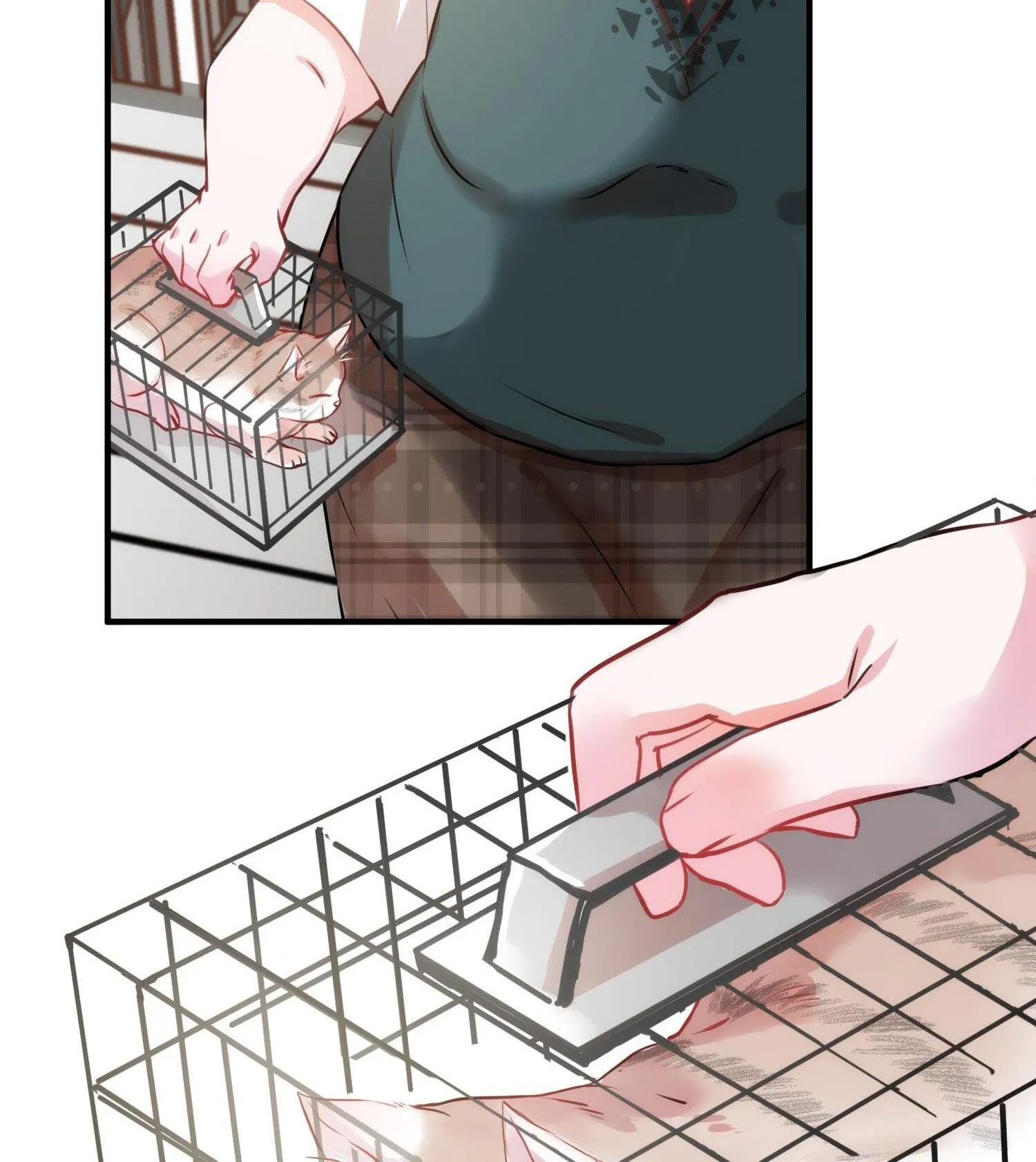 Mối quan hệ không được thuần hóa Chapter 11 Trang 5