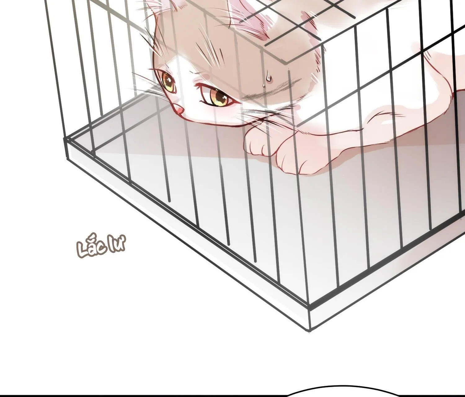 Mối quan hệ không được thuần hóa Chapter 11 Trang 6