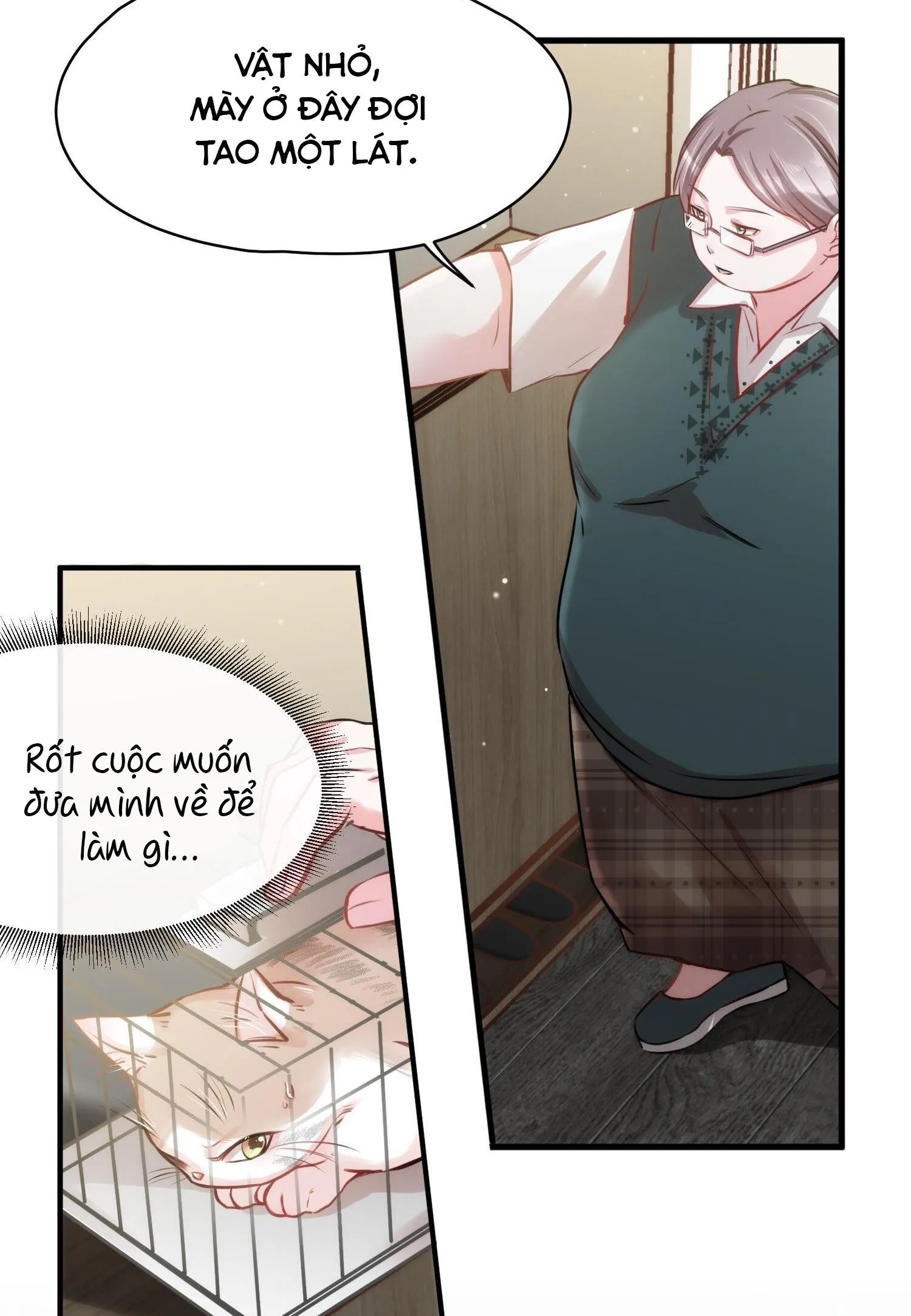 Mối quan hệ không được thuần hóa Chapter 11 Trang 11