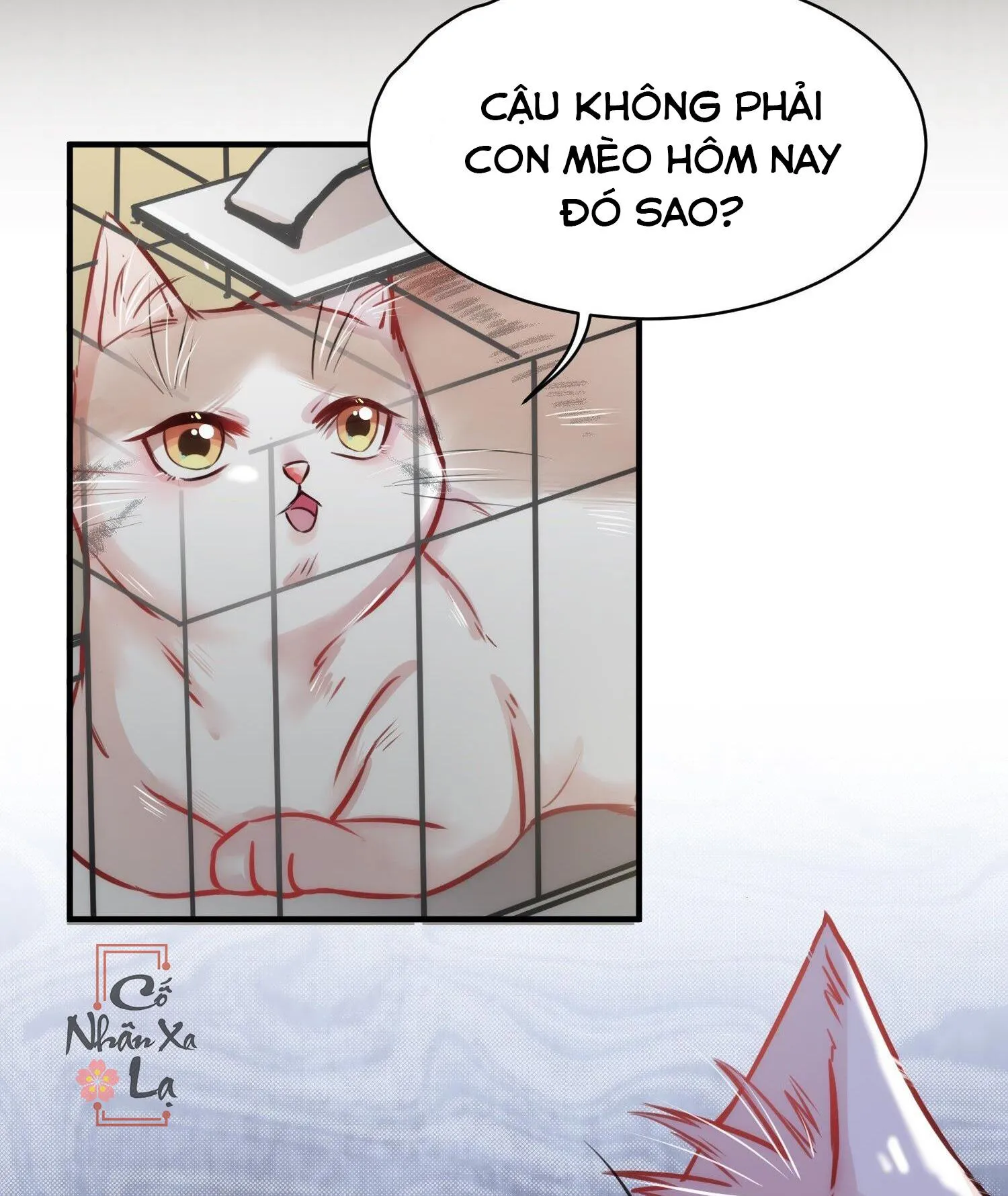 Mối quan hệ không được thuần hóa Chapter 11 Trang 17