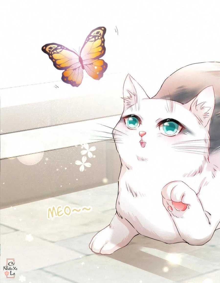 Mối quan hệ không được thuần hóa Chapter 14 Trang 5