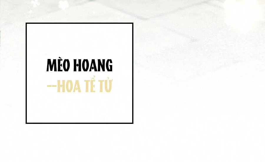 Mối quan hệ không được thuần hóa Chapter 14 Trang 6