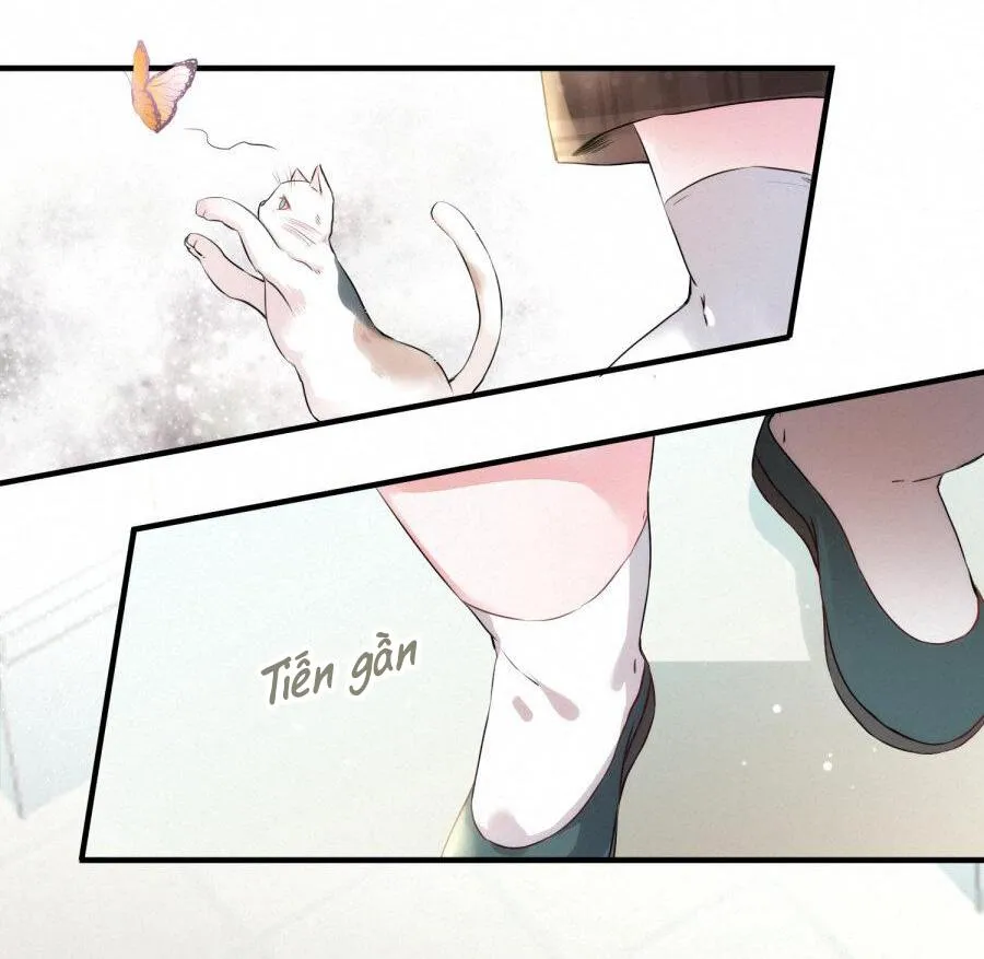 Mối quan hệ không được thuần hóa Chapter 14 Trang 7