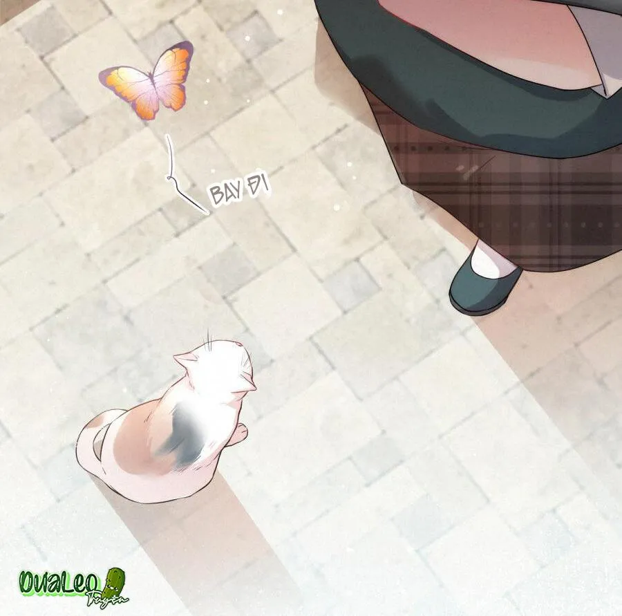 Mối quan hệ không được thuần hóa Chapter 14 Trang 9