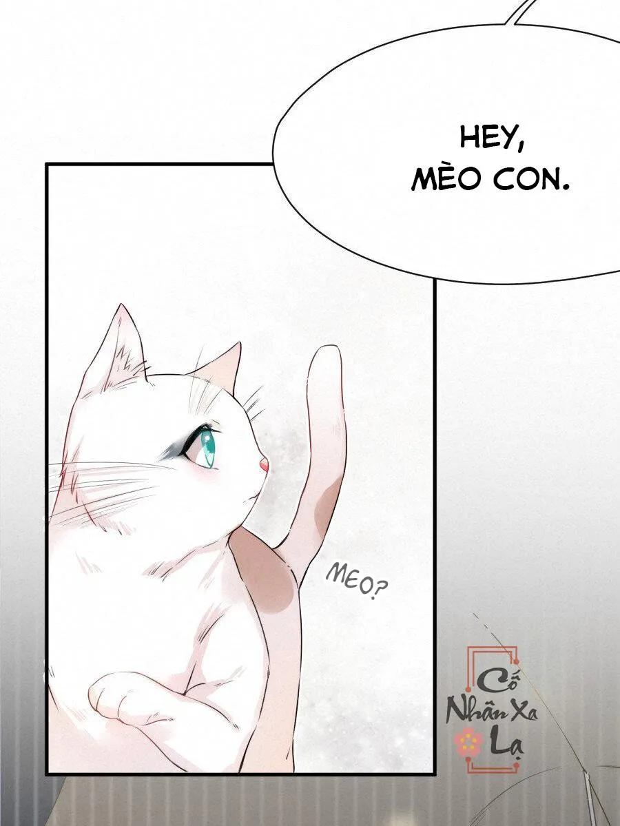 Mối quan hệ không được thuần hóa Chapter 14 Trang 11