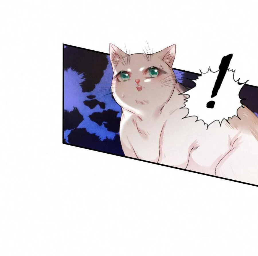 Mối quan hệ không được thuần hóa Chapter 14 Trang 14