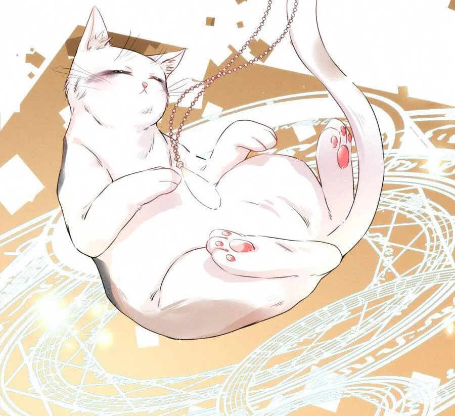 Mối quan hệ không được thuần hóa Chapter 14 Trang 22