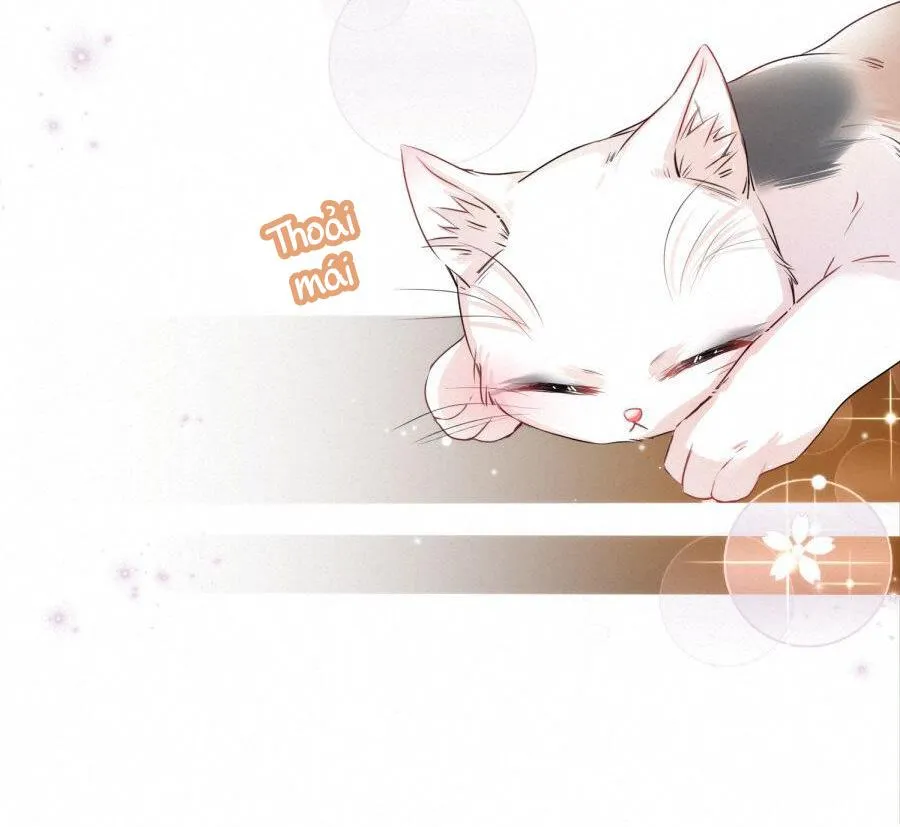 Mối quan hệ không được thuần hóa Chapter 14 Trang 28