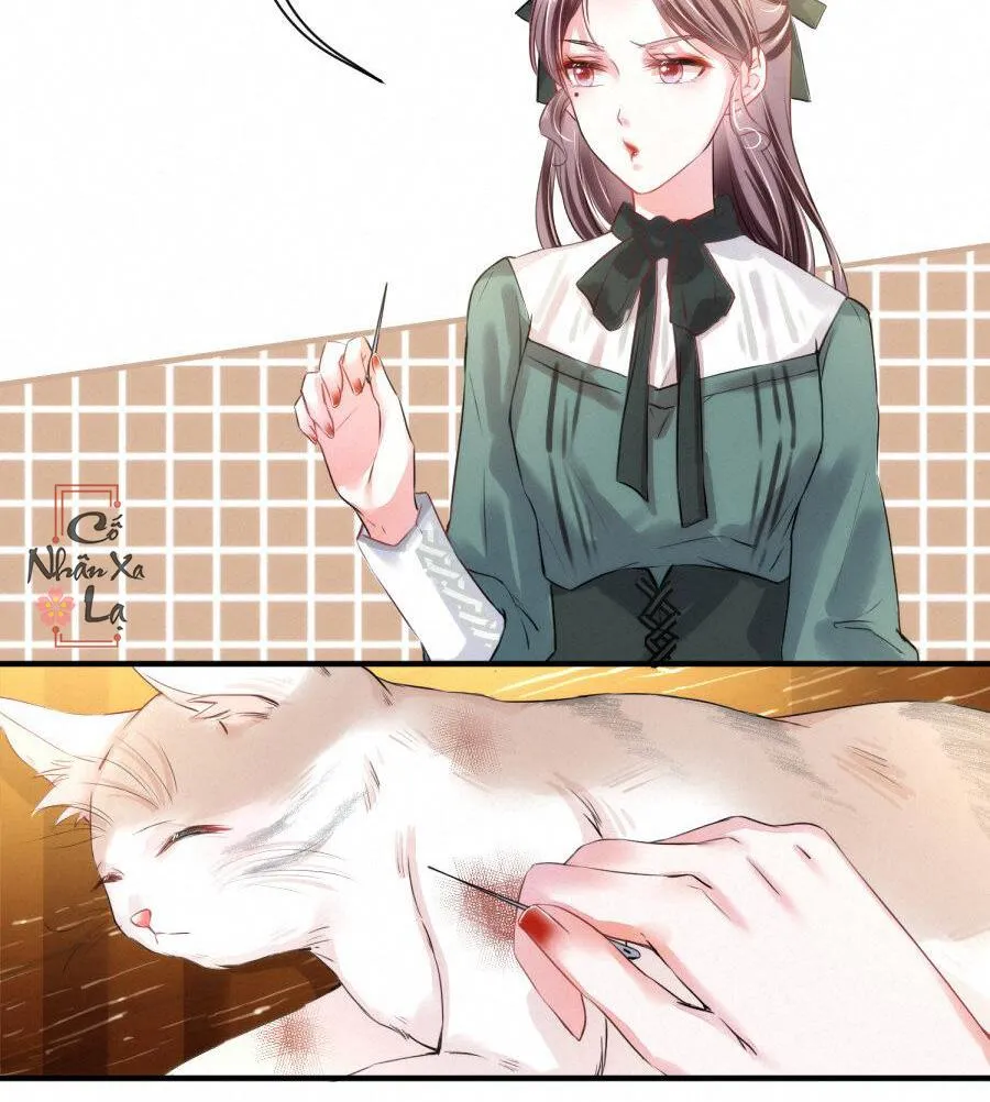 Mối quan hệ không được thuần hóa Chapter 14 Trang 30