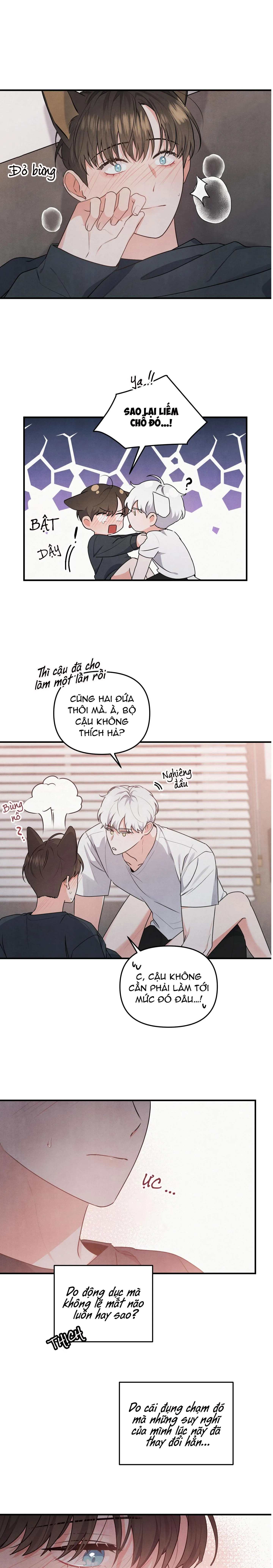 MỐI QUAN HỆ NGU NGỐC Chapter 5 Trang 11