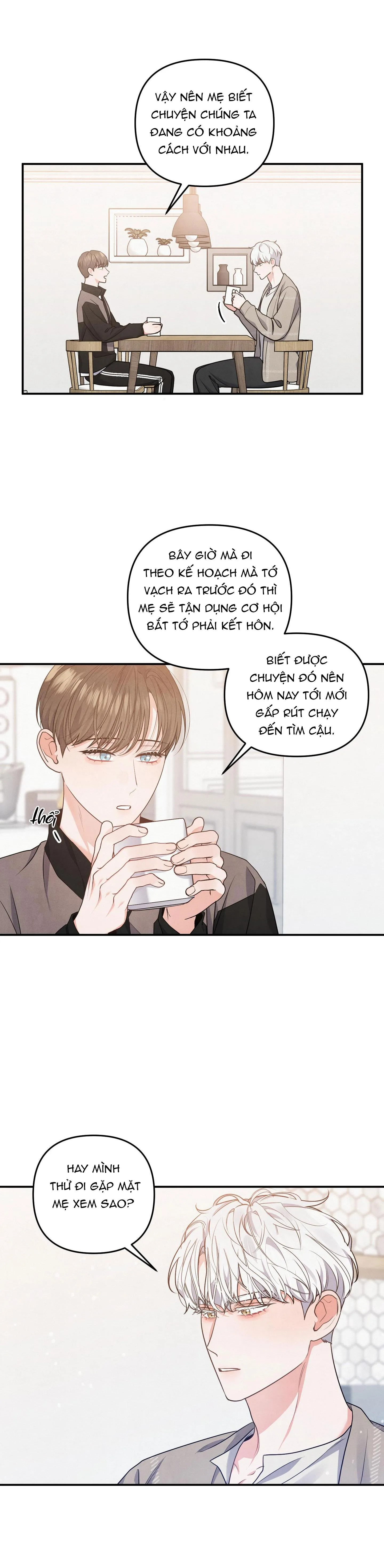 MỐI QUAN HỆ NGU NGỐC Chapter 14 Trang 15