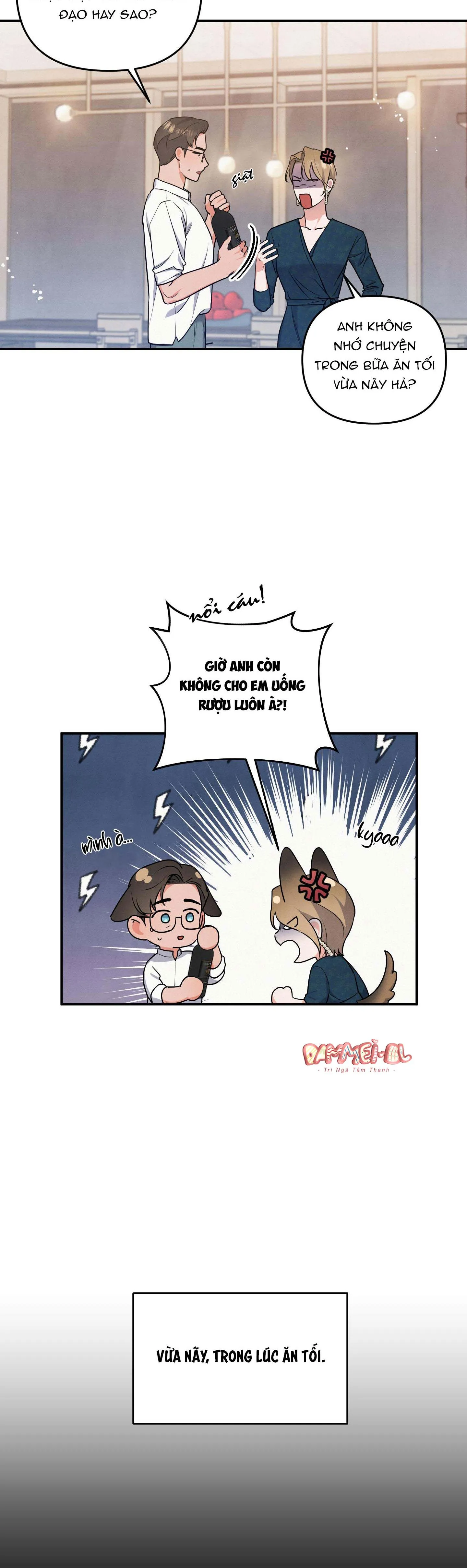 MỐI QUAN HỆ NGU NGỐC Chapter 17 Trang 11