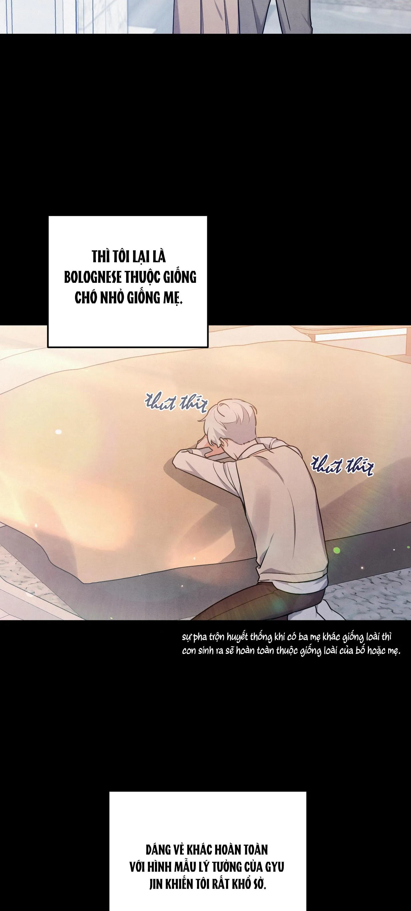 MỐI QUAN HỆ NGU NGỐC Chapter 21 Trang 10