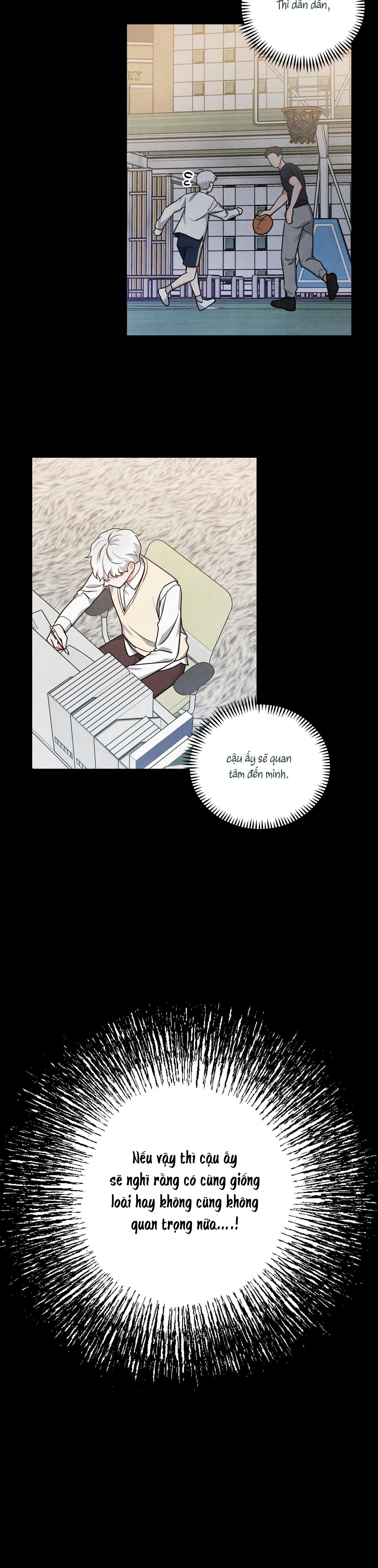MỐI QUAN HỆ NGU NGỐC Chapter 21 Trang 13