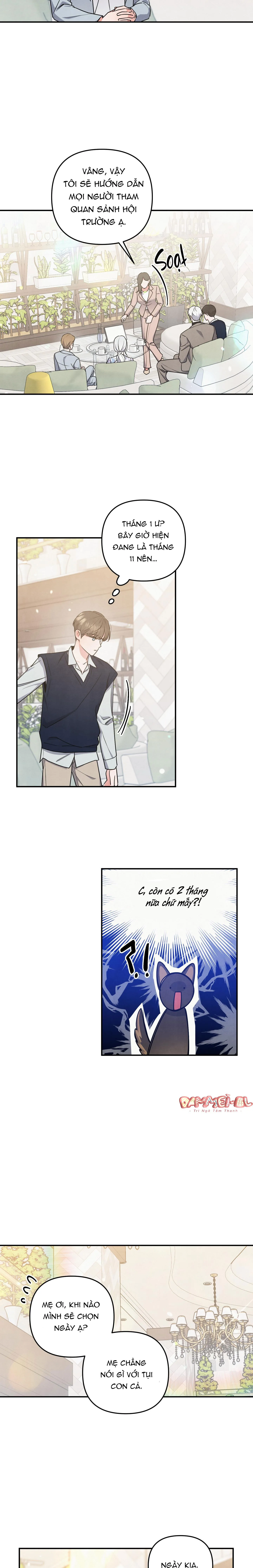 MỐI QUAN HỆ NGU NGỐC Chapter 23 Trang 11