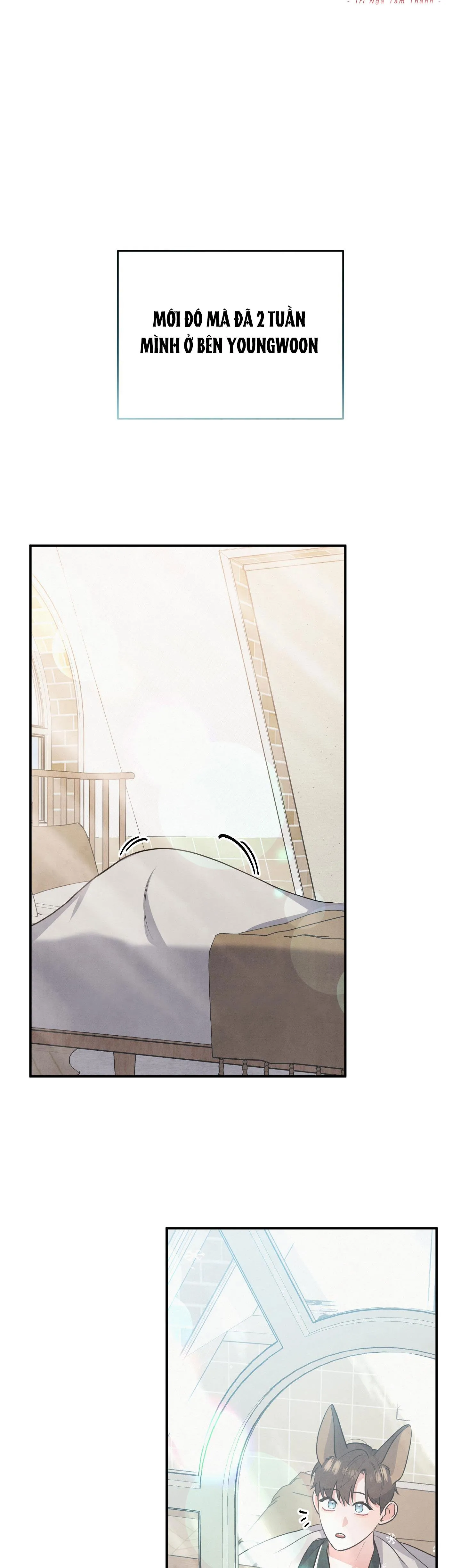 MỐI QUAN HỆ NGU NGỐC Chapter 37 Trang 7