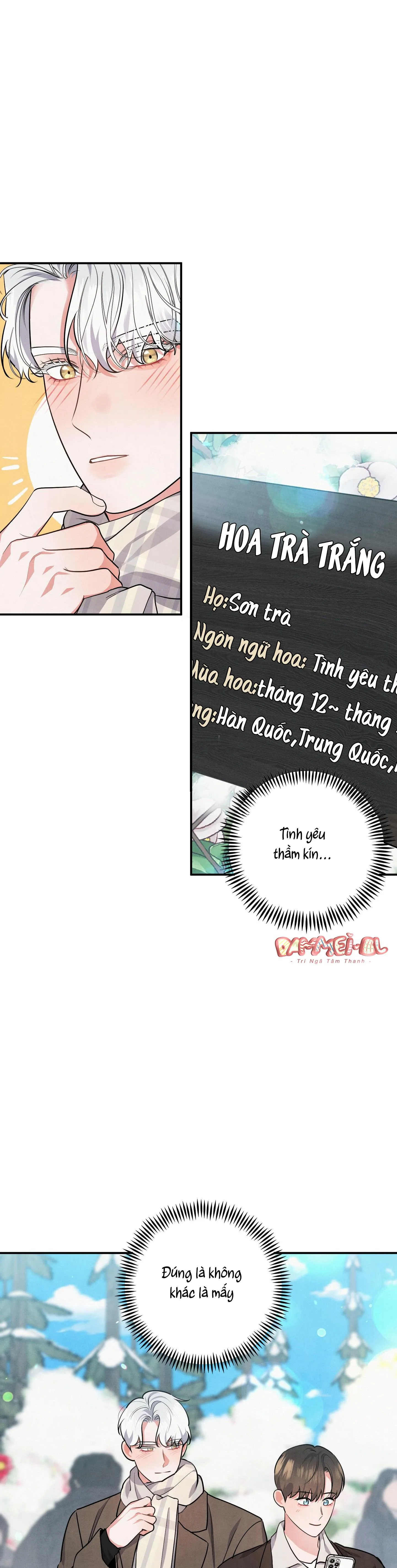 MỐI QUAN HỆ NGU NGỐC Chapter 37 Trang 18