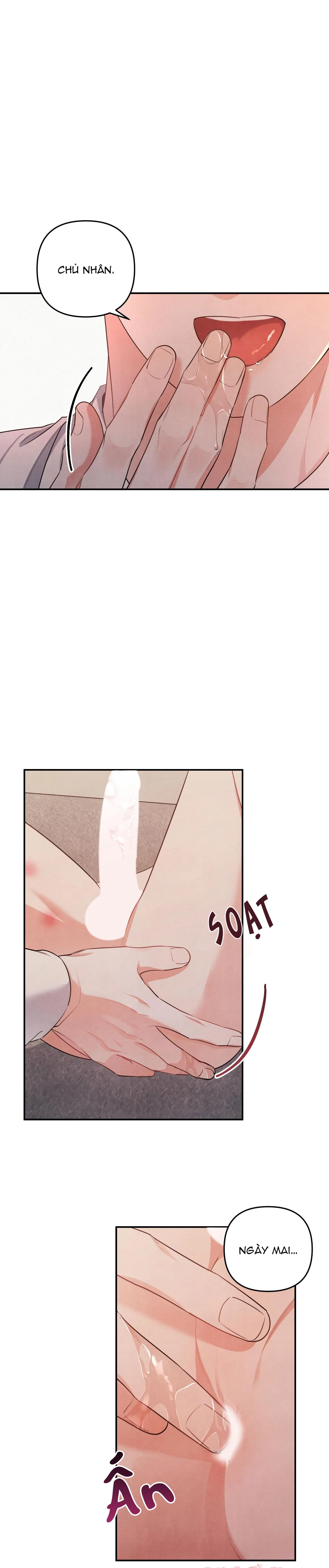 MỐI QUAN HỆ NGU NGỐC Chapter 40 Trang 4