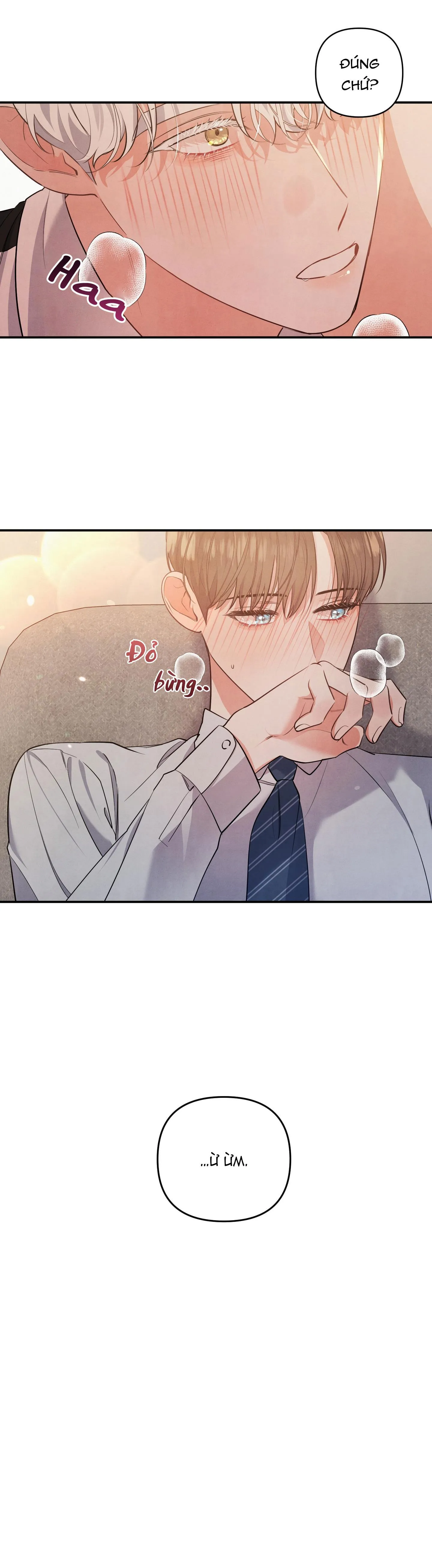 MỐI QUAN HỆ NGU NGỐC Chapter 40 Trang 6